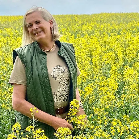 Chateau De La Barre Conflans-sur-Anille