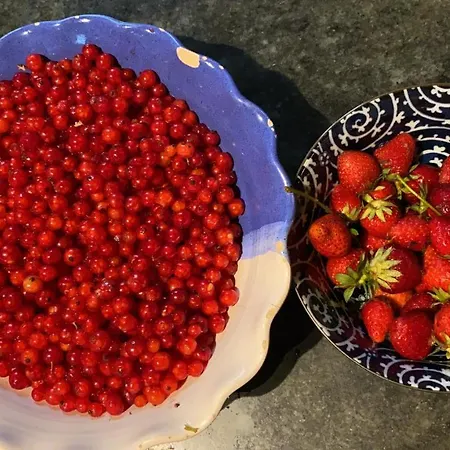 Chateau De La Barre *