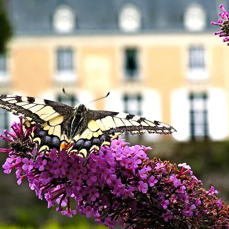Chateau De La Barre Ferienhaus