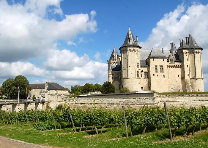 Casa vacanze Chateau De La Barre Conflans-sur-Anille