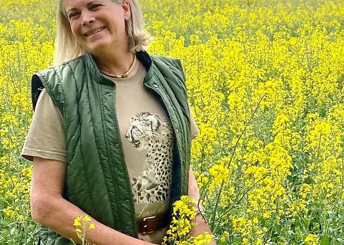 Chateau De La Barre Conflans-sur-Anille