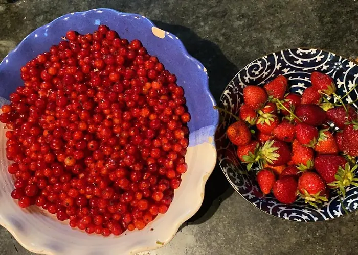 Chateau De La Barre *