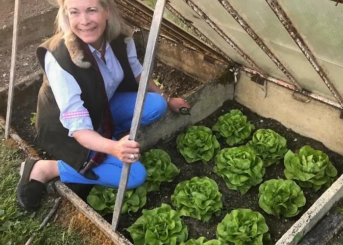 Casa vacanze Chateau De La Barre Conflans-sur-Anille