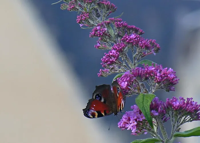 Chateau De La Barre Casa vacanze